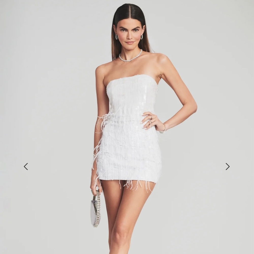 Retrofete Anastasia Sequin Feather Dress NWT
